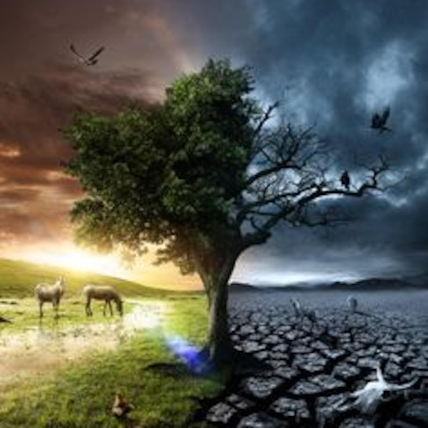 Life and Death
