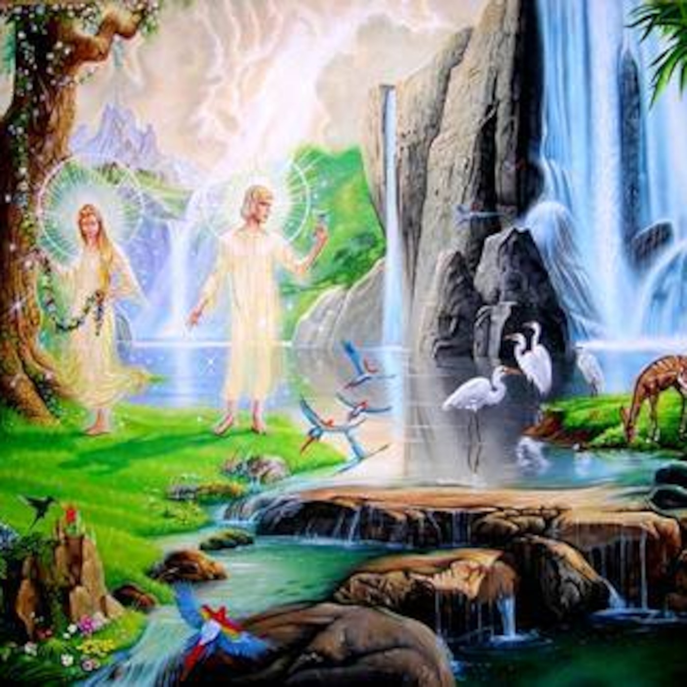 The Healing Mil- Advancing God's Will 26/2/17
