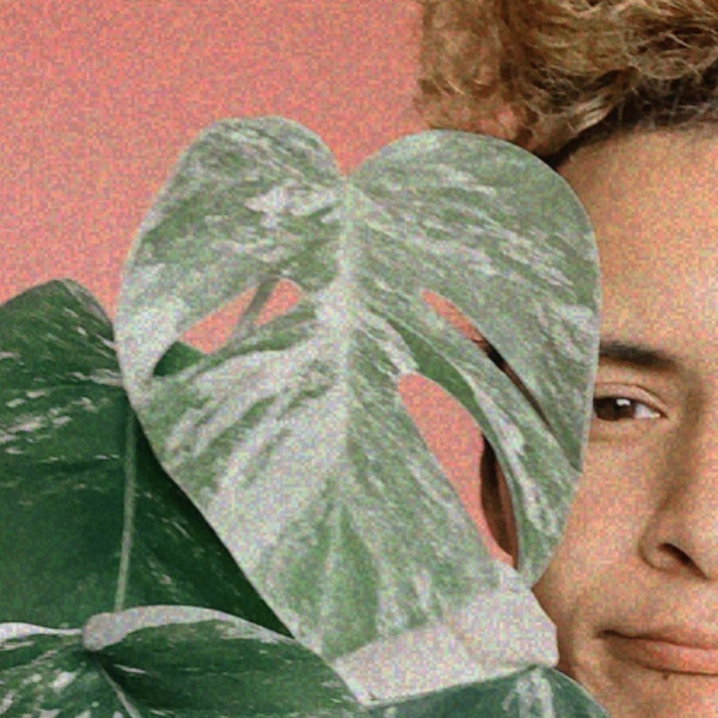 Let’s talk and plants.