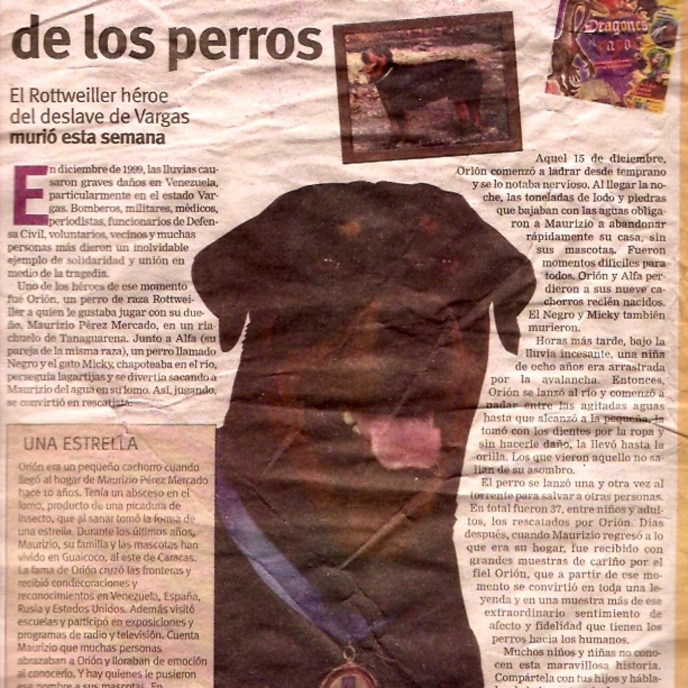 Zona Gaia