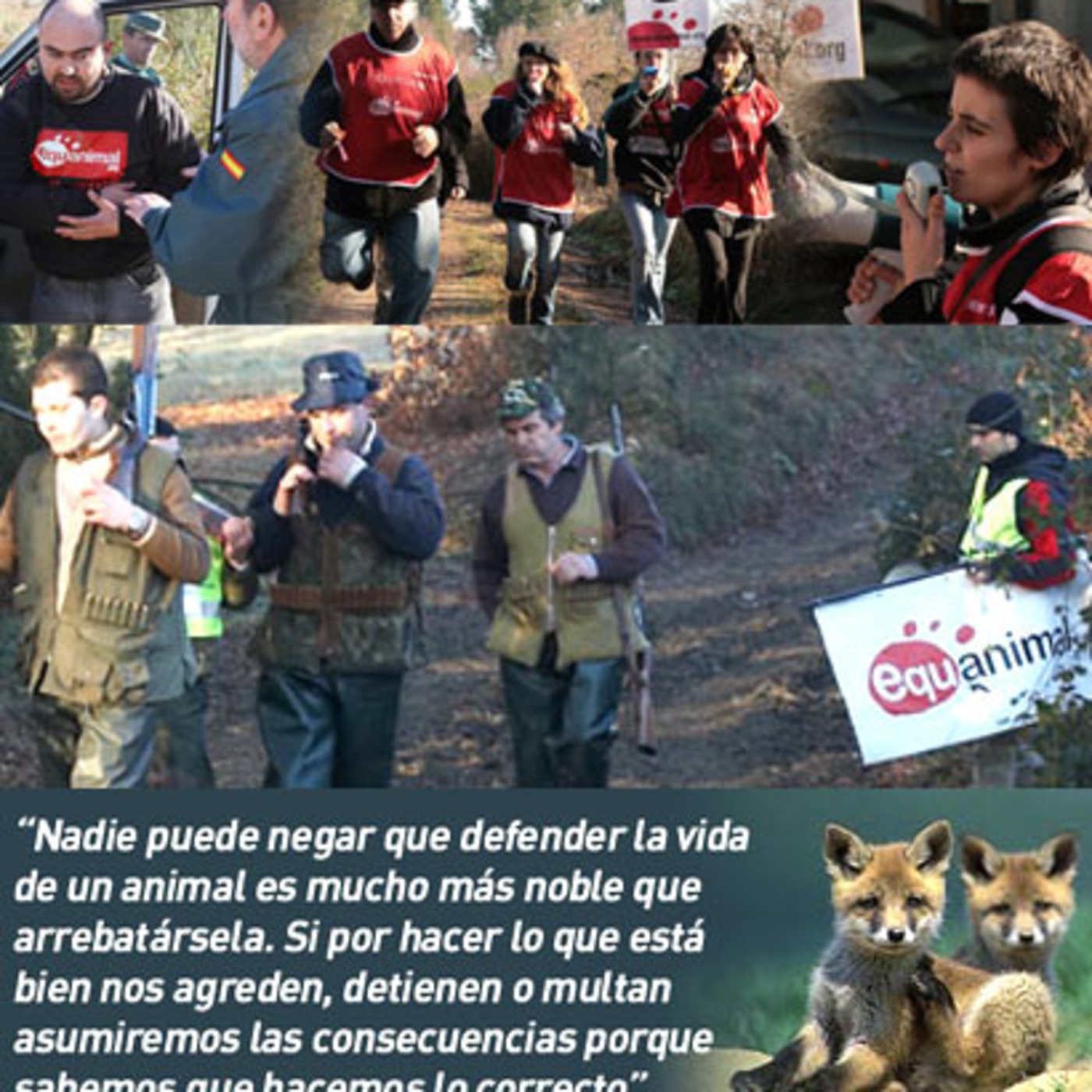 Zona Gaia