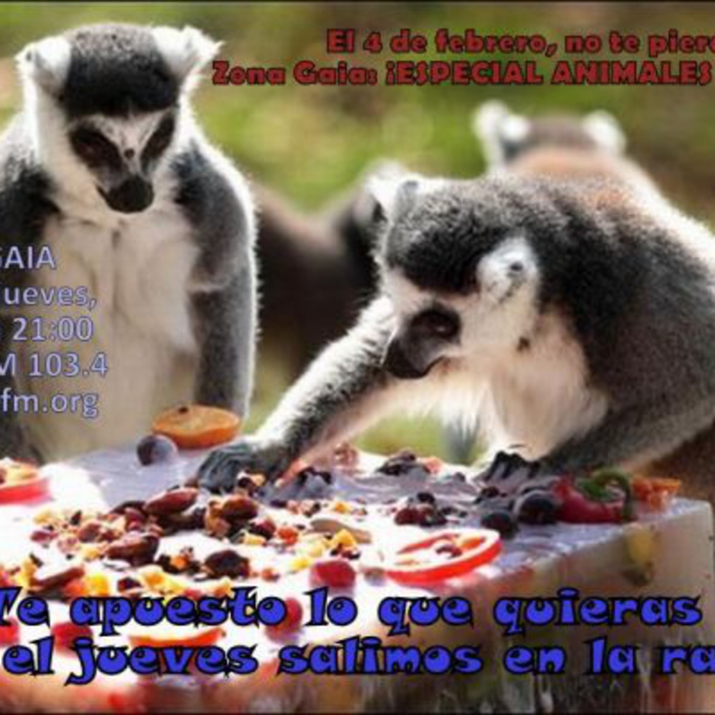 Zona Gaia