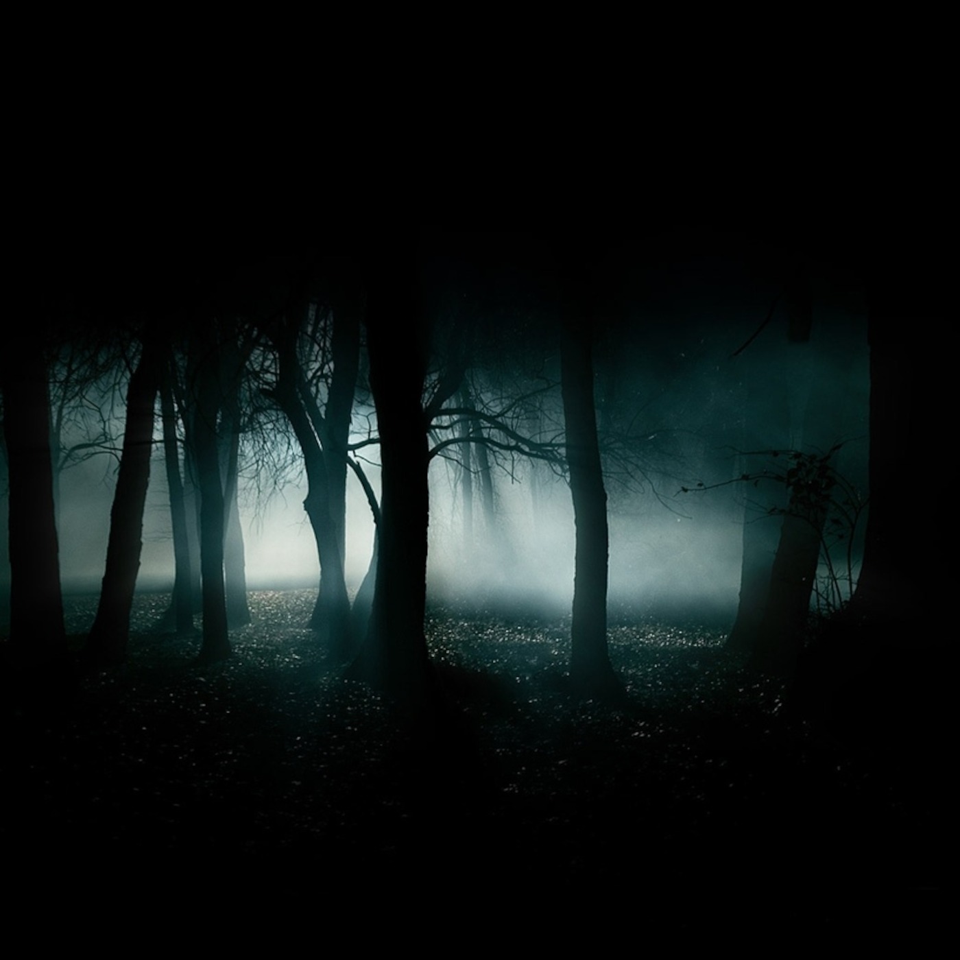 Worlds Unknown