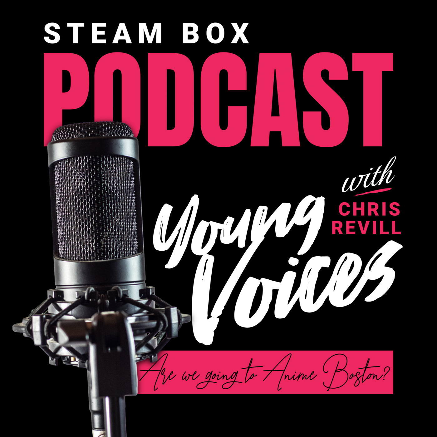STEAM Box vs