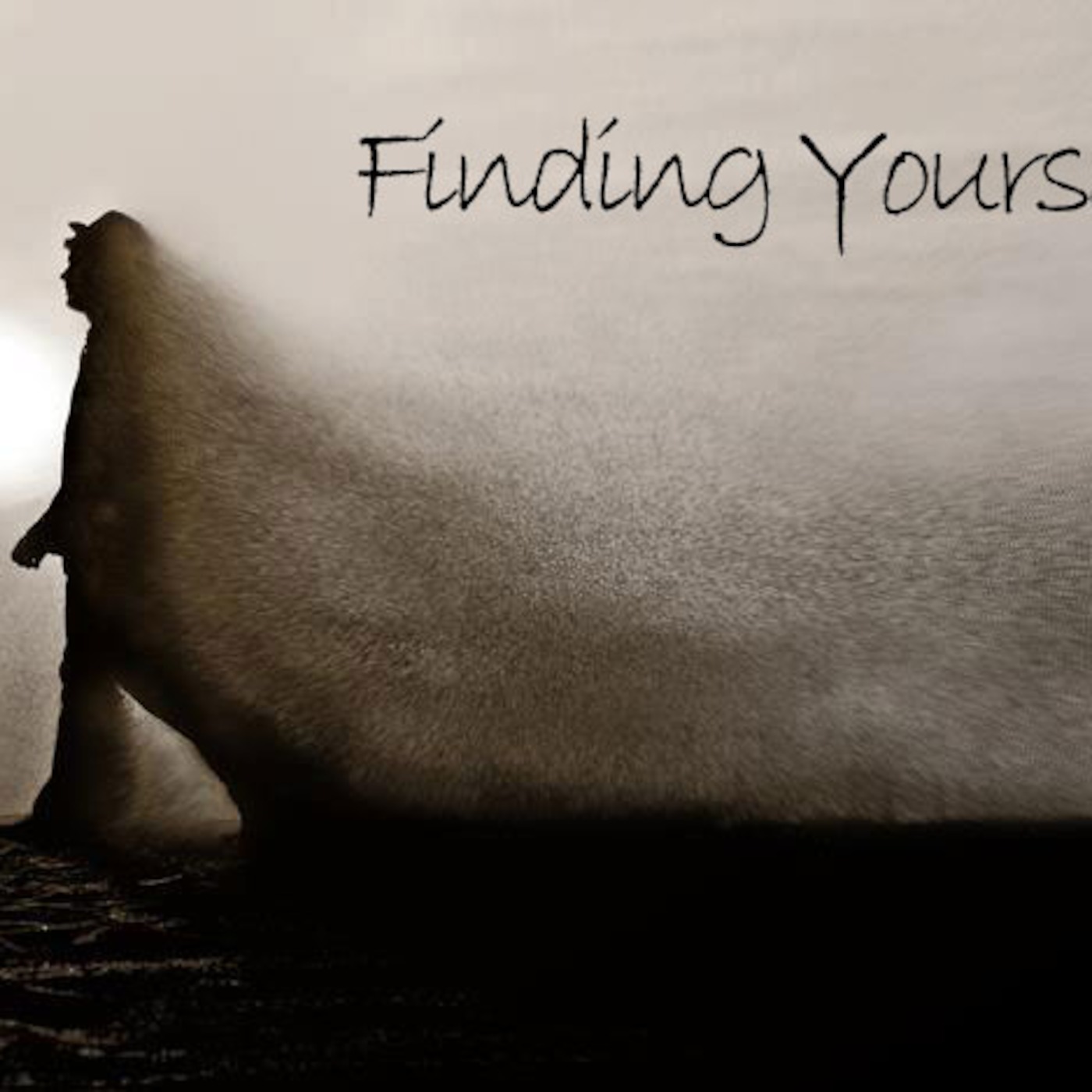 Episode 79 Finding Your Self Episode 79 Finding Your Self
