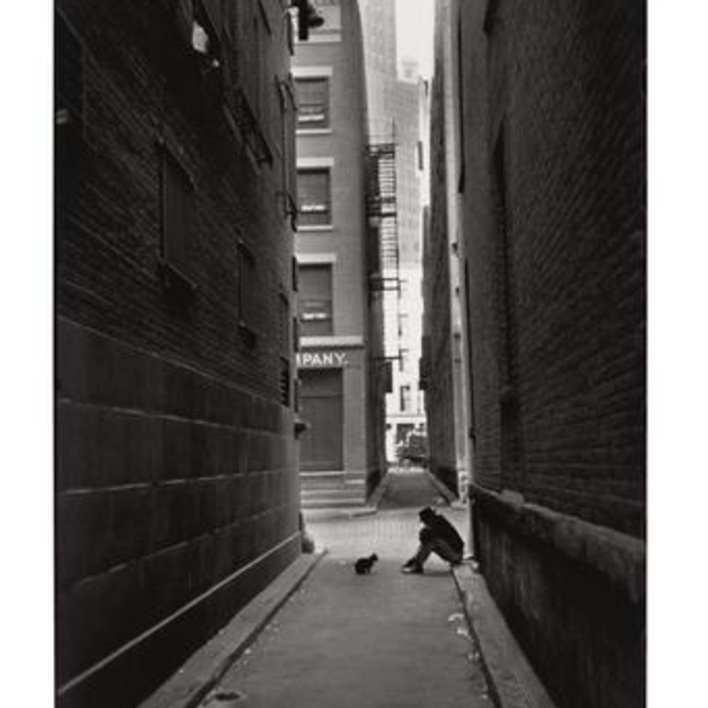 Pancake Factor Podcast