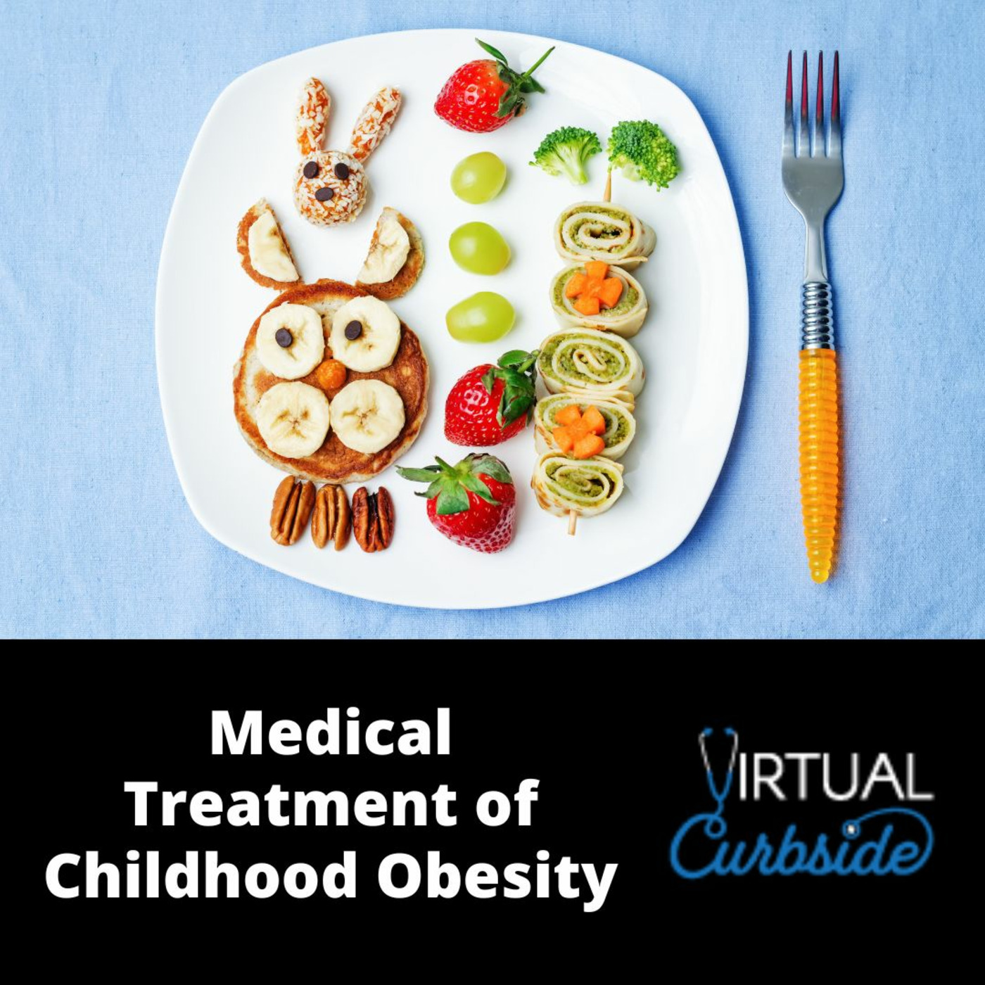 Episode 234: #54-4 Childhood Obesity: Q & A episode artwork