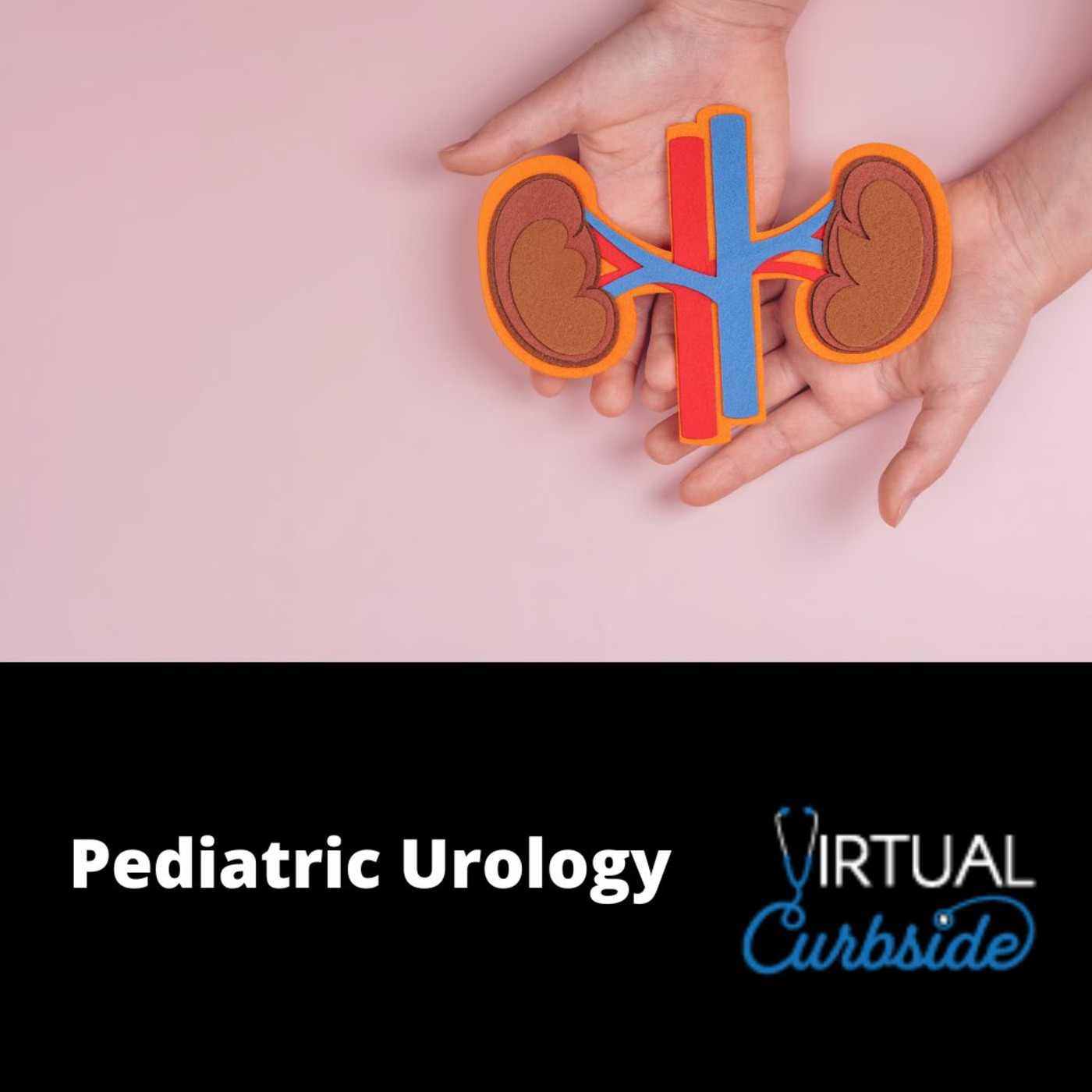 Episode 301: #70-2 Urology Issues: Voiding Dysfunction episode artwork