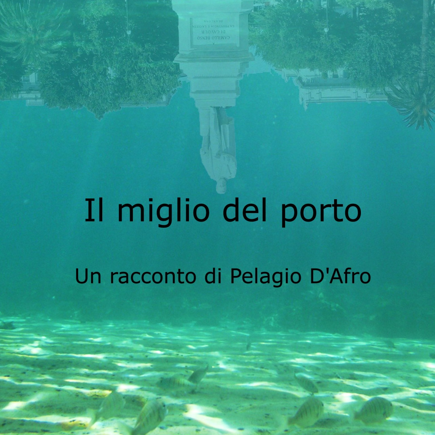 Pelagio D\'Afro