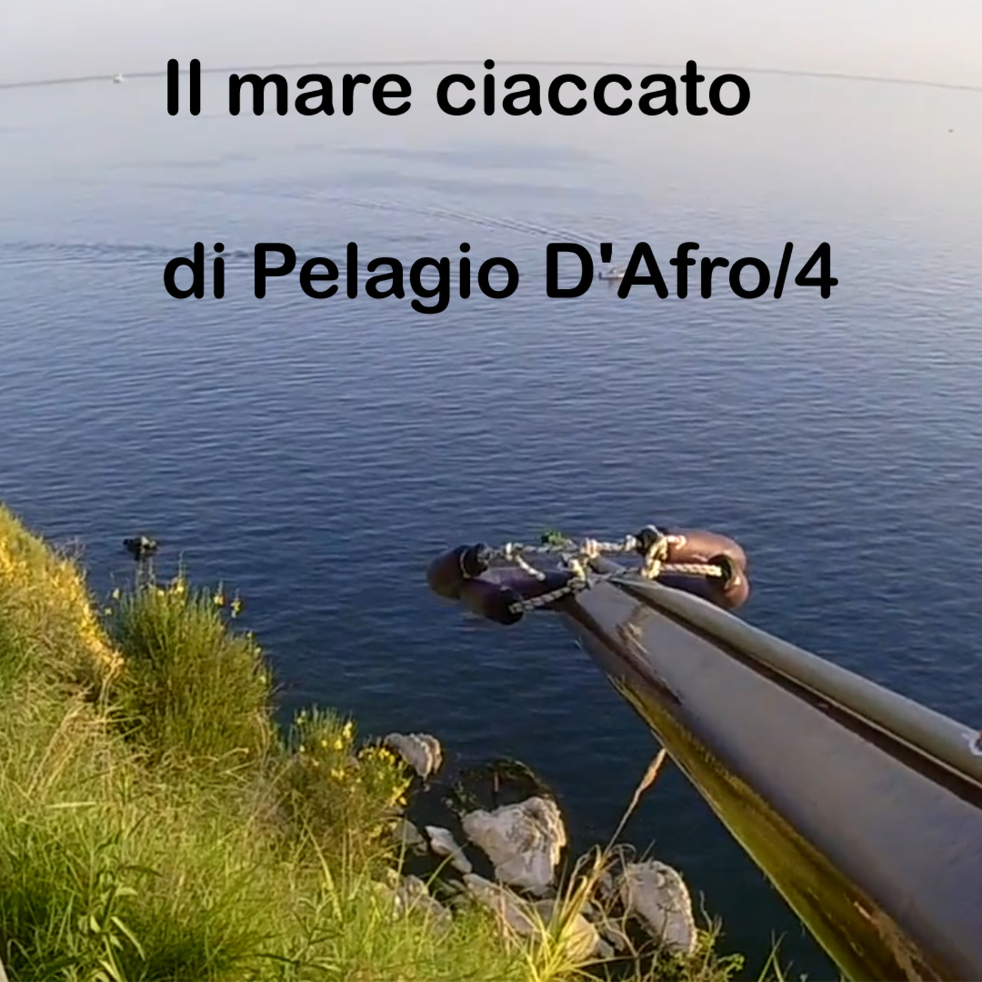 Pelagio D\'Afro