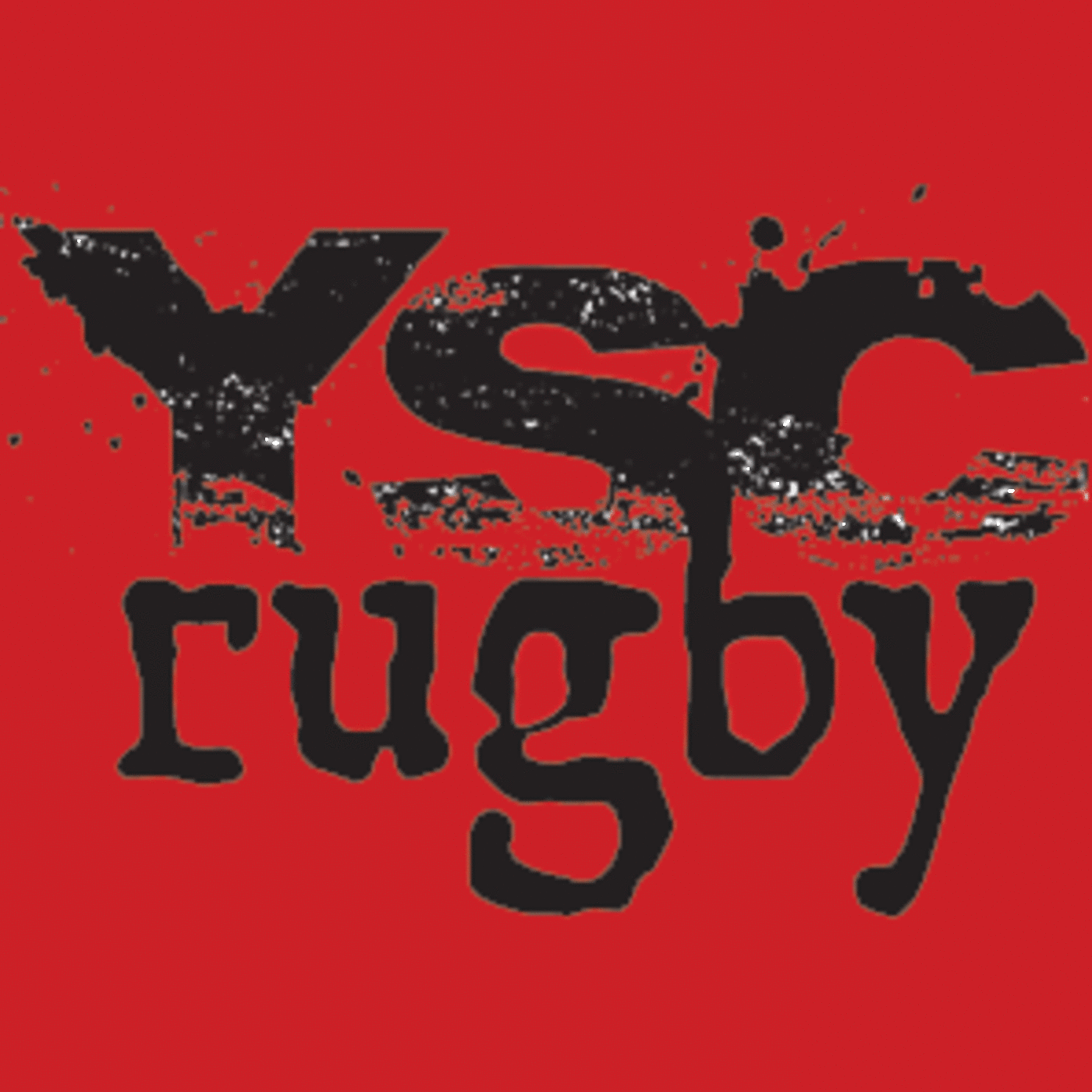 Episode 8:  Wendy Young