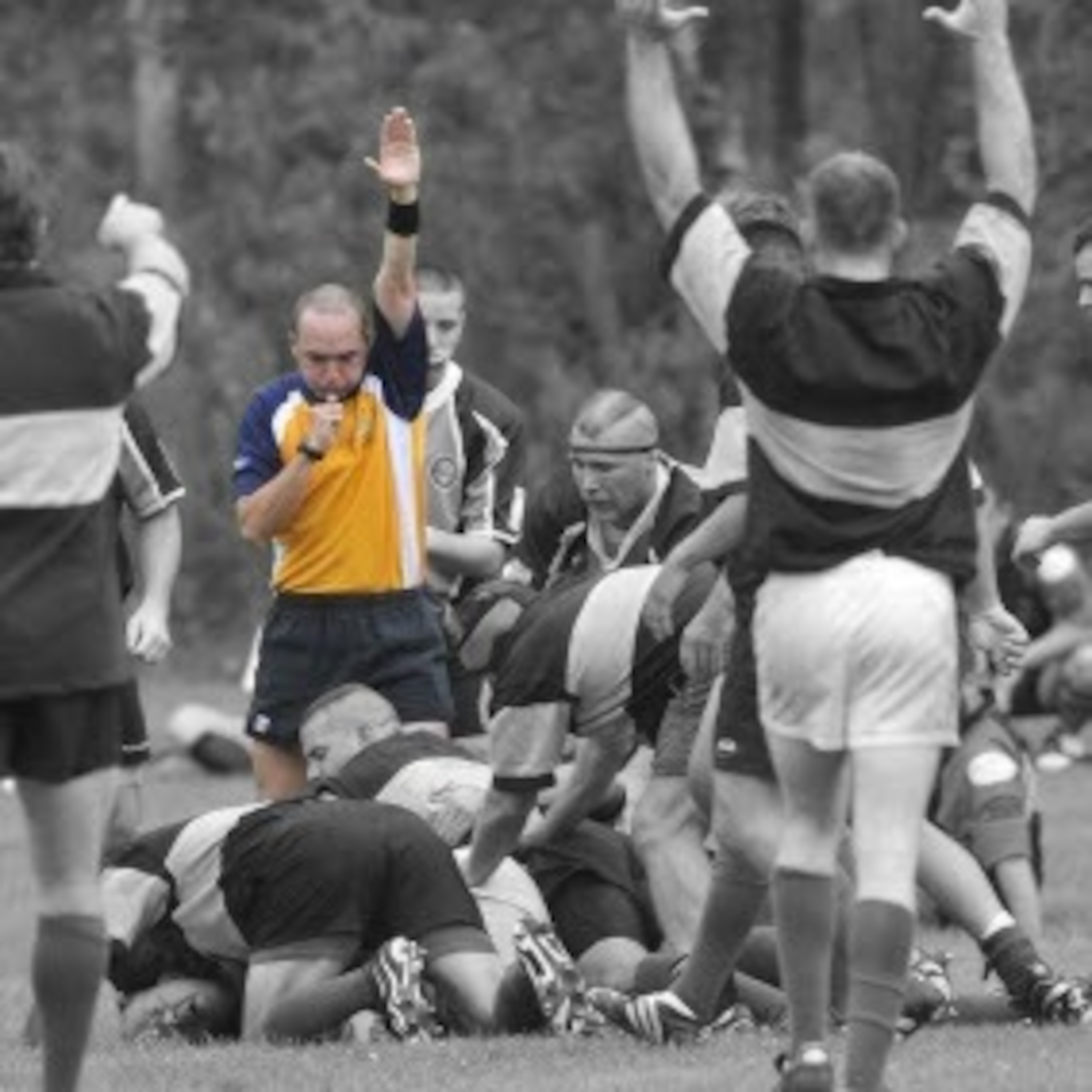 A Rugby Life