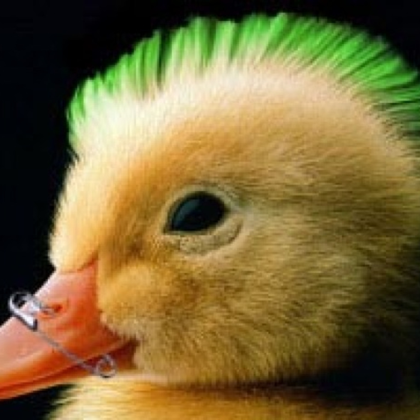 El Desinformativo Cuac FM Podcast