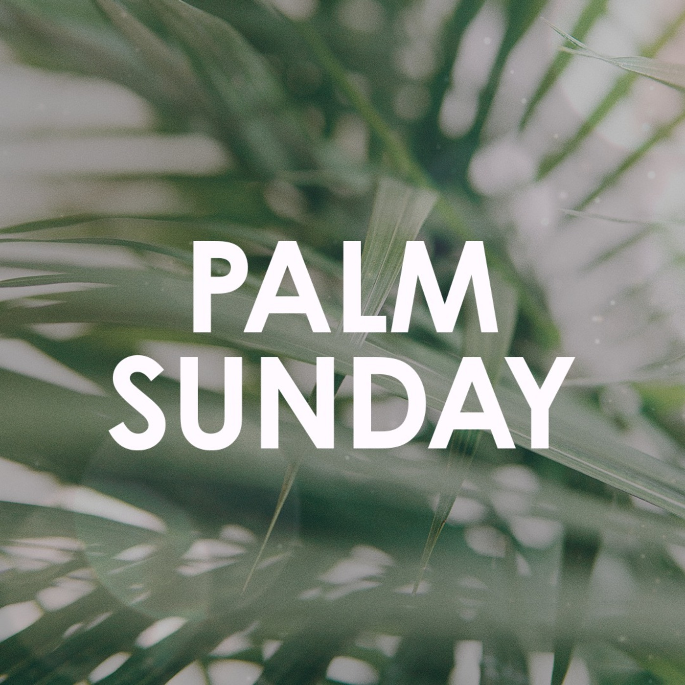 Palm Sunday (Vaughan Minto, 28 March 2021) episode artwork
