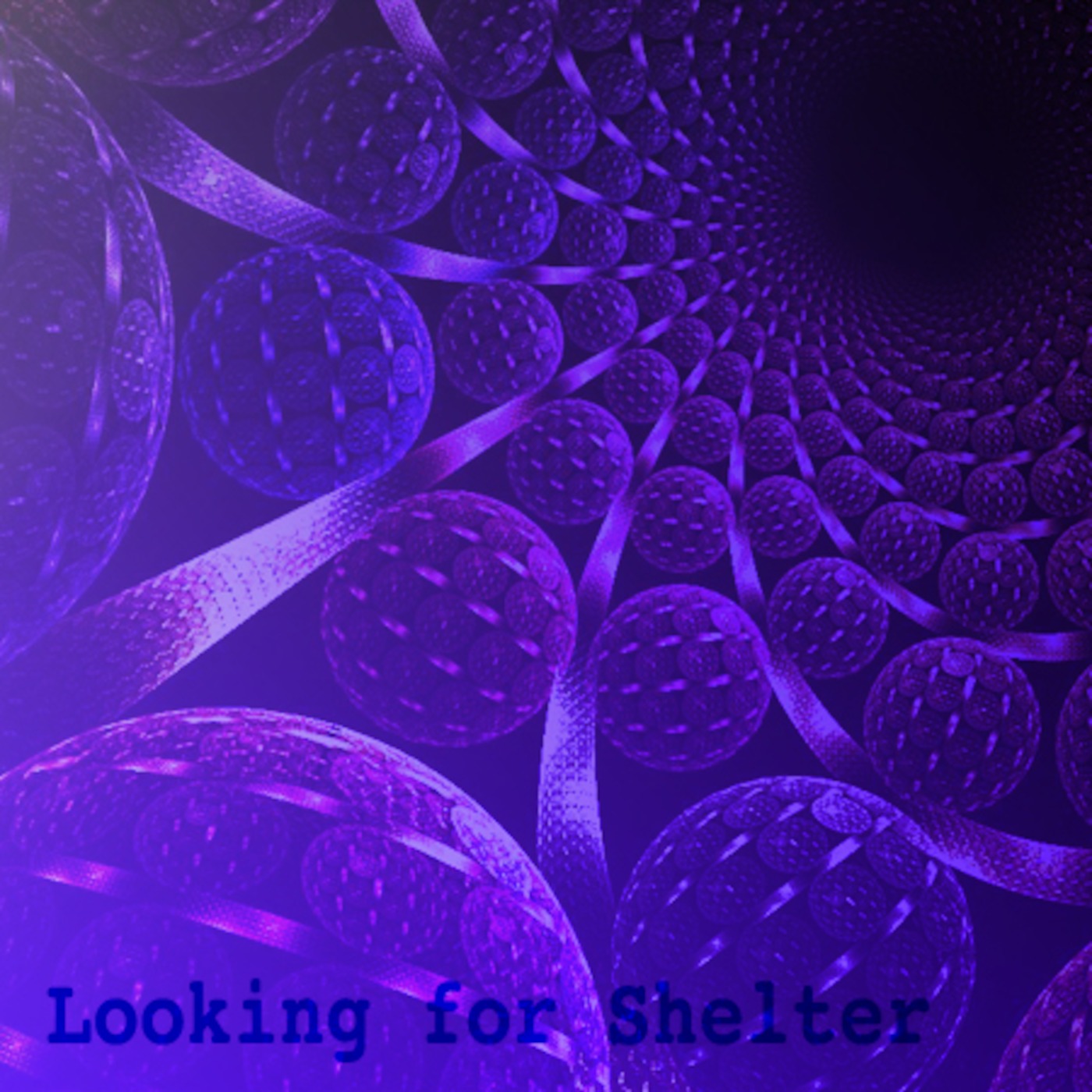Looking For Shelter