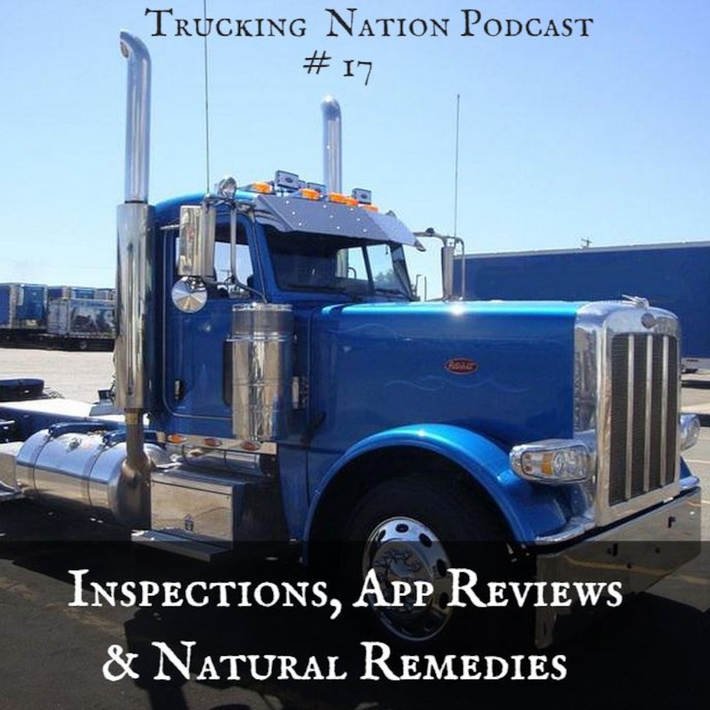 17. Inspections, App Reviews, & Natural Remedies