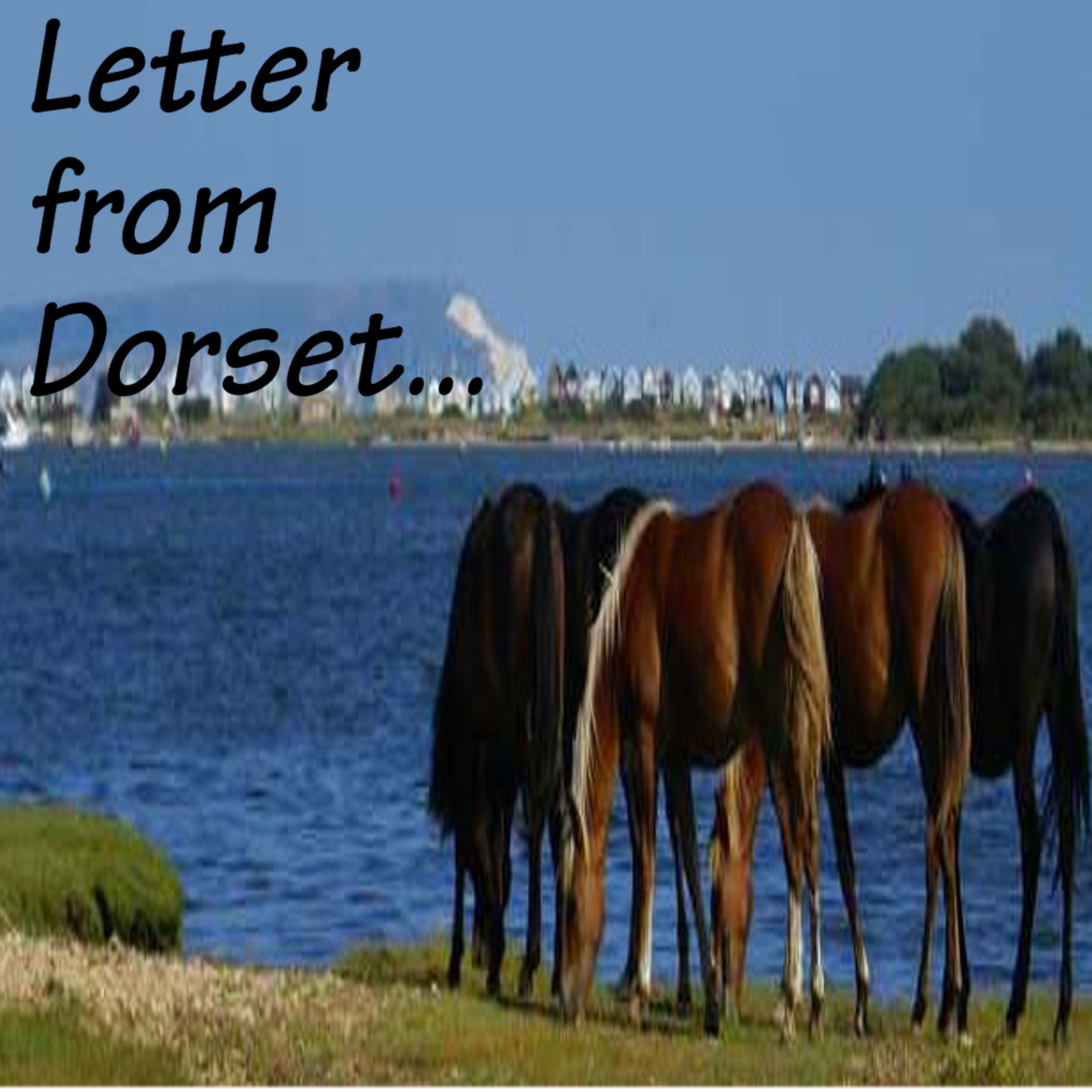 Letter From Dorset