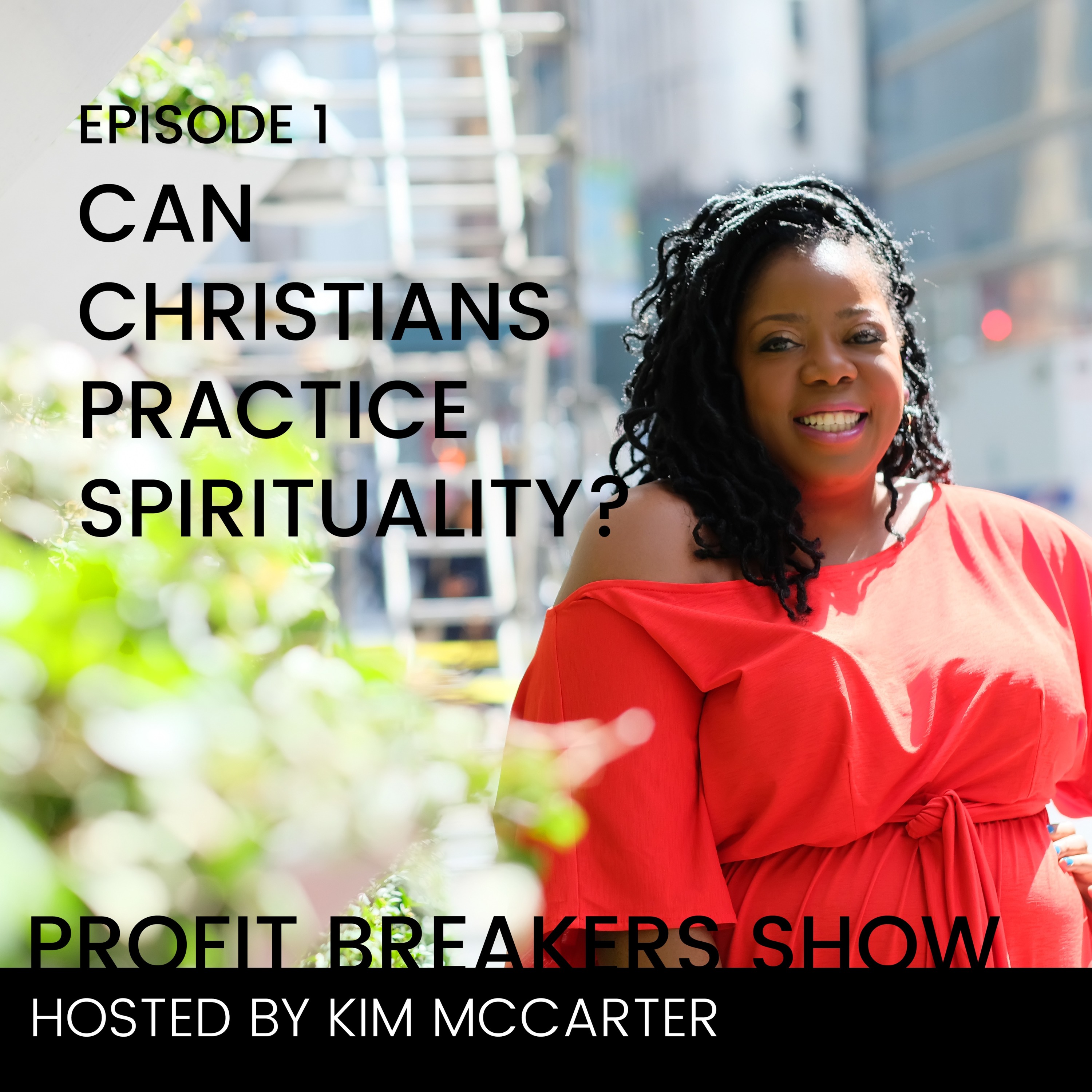 Welcome To The Profit Breakers Show