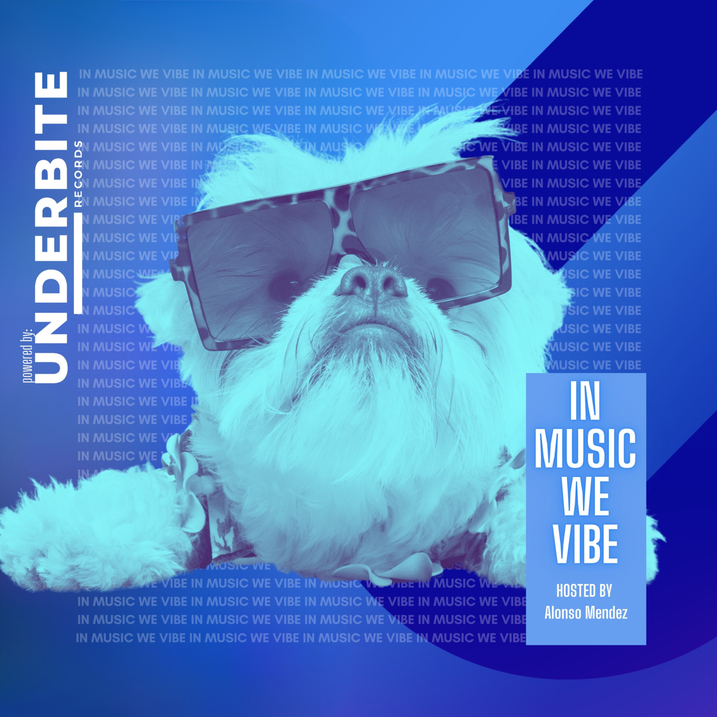 Underbite Radio - In Music We Vibe hosted by Alonso Mendez