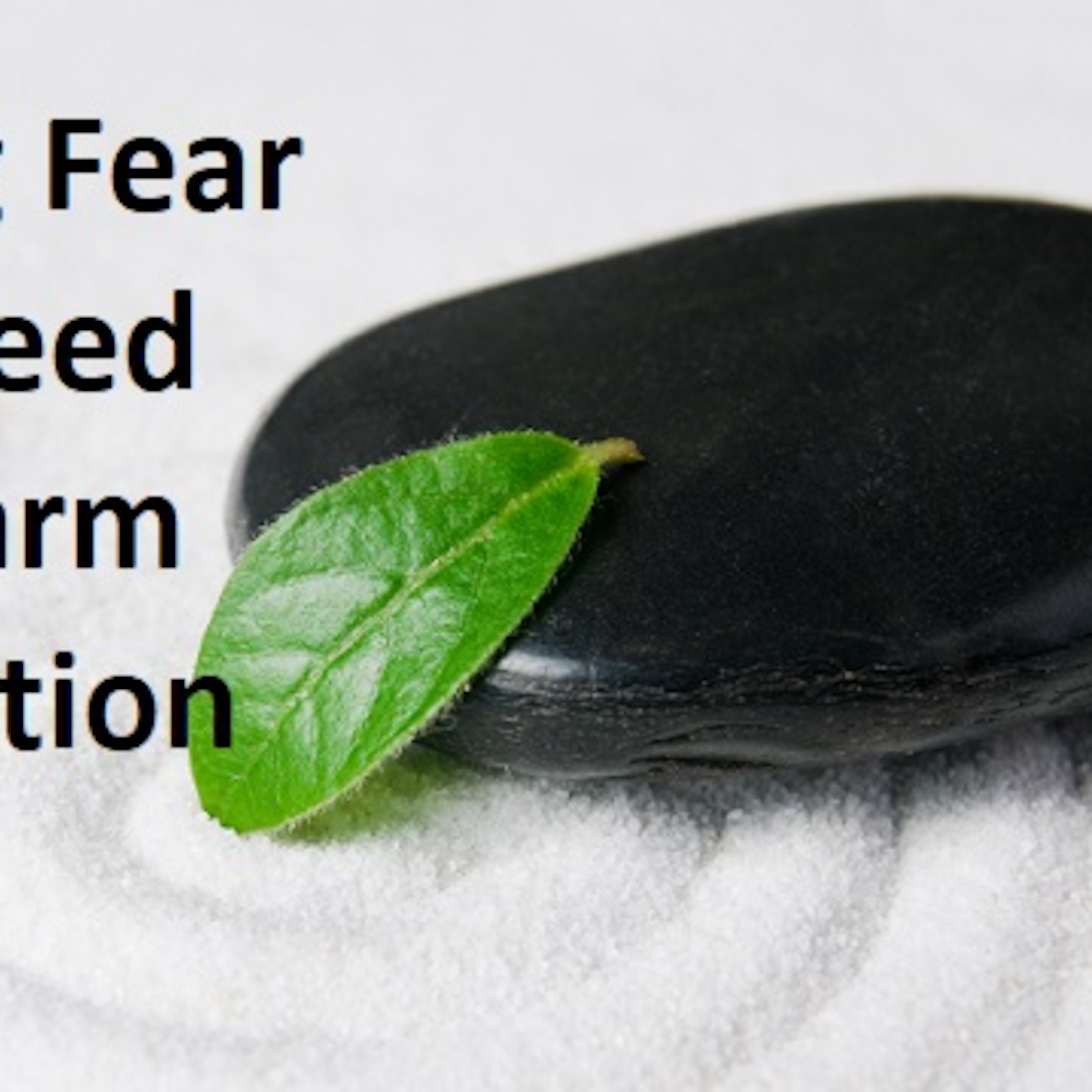 Fear and The Harm Reduction - Abuse Survivors episode artwork