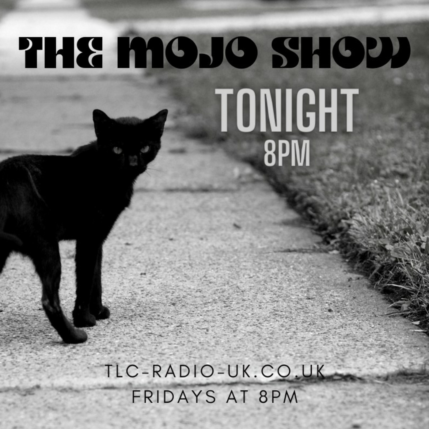 The MOJO SHOW with Dan & Faye