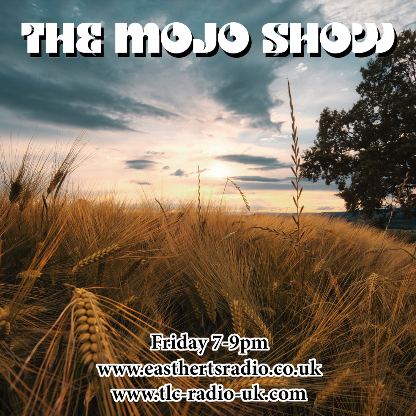 The MOJO SHOW with Dan & Faye