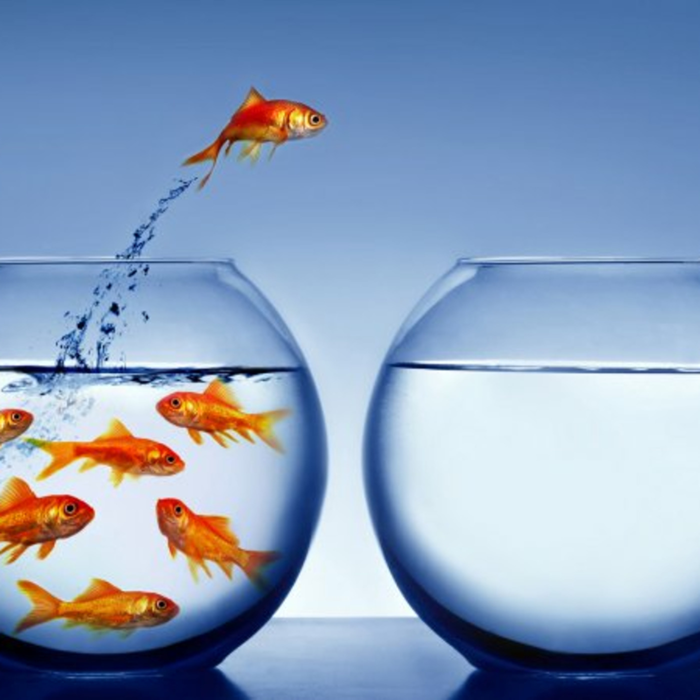 Episode 32: This Quantum Life #31 - So What's The Big Deal About Choice?