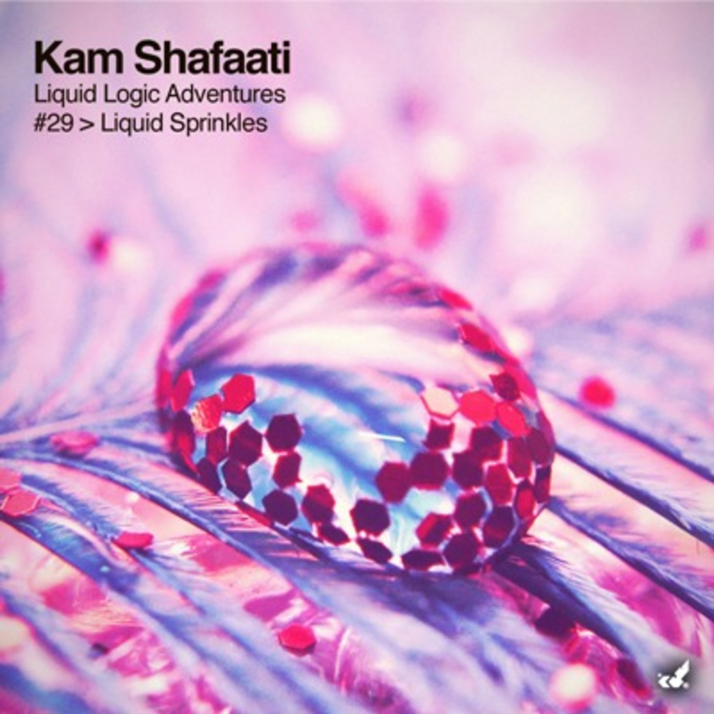 DJ Kam Shafaati presents Liquid Adventures