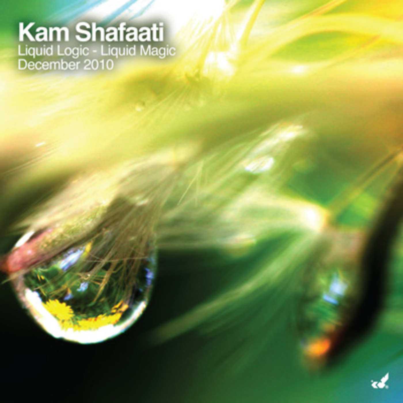 DJ Kam Shafaati presents Liquid Adventures
