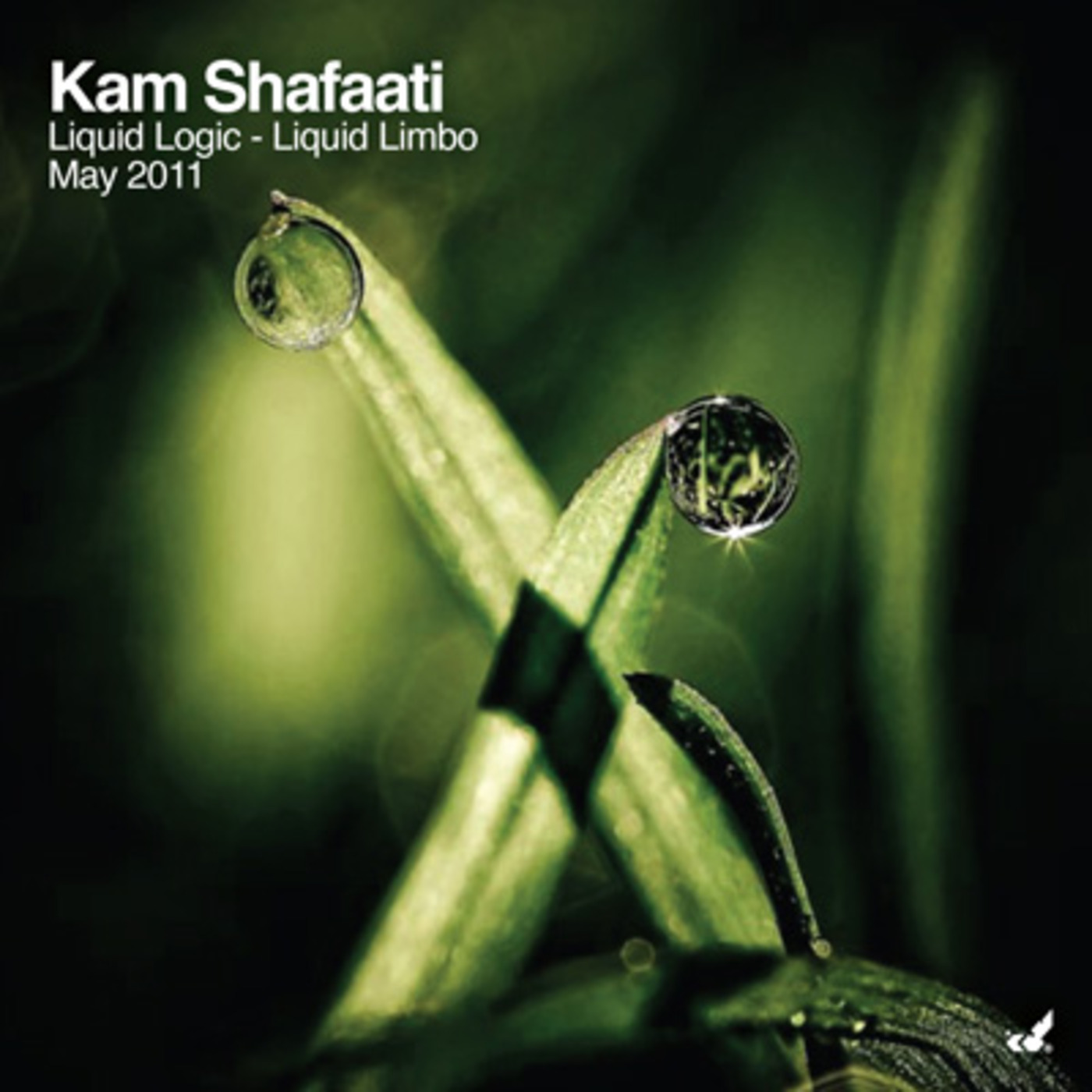 DJ Kam Shafaati presents Liquid Adventures