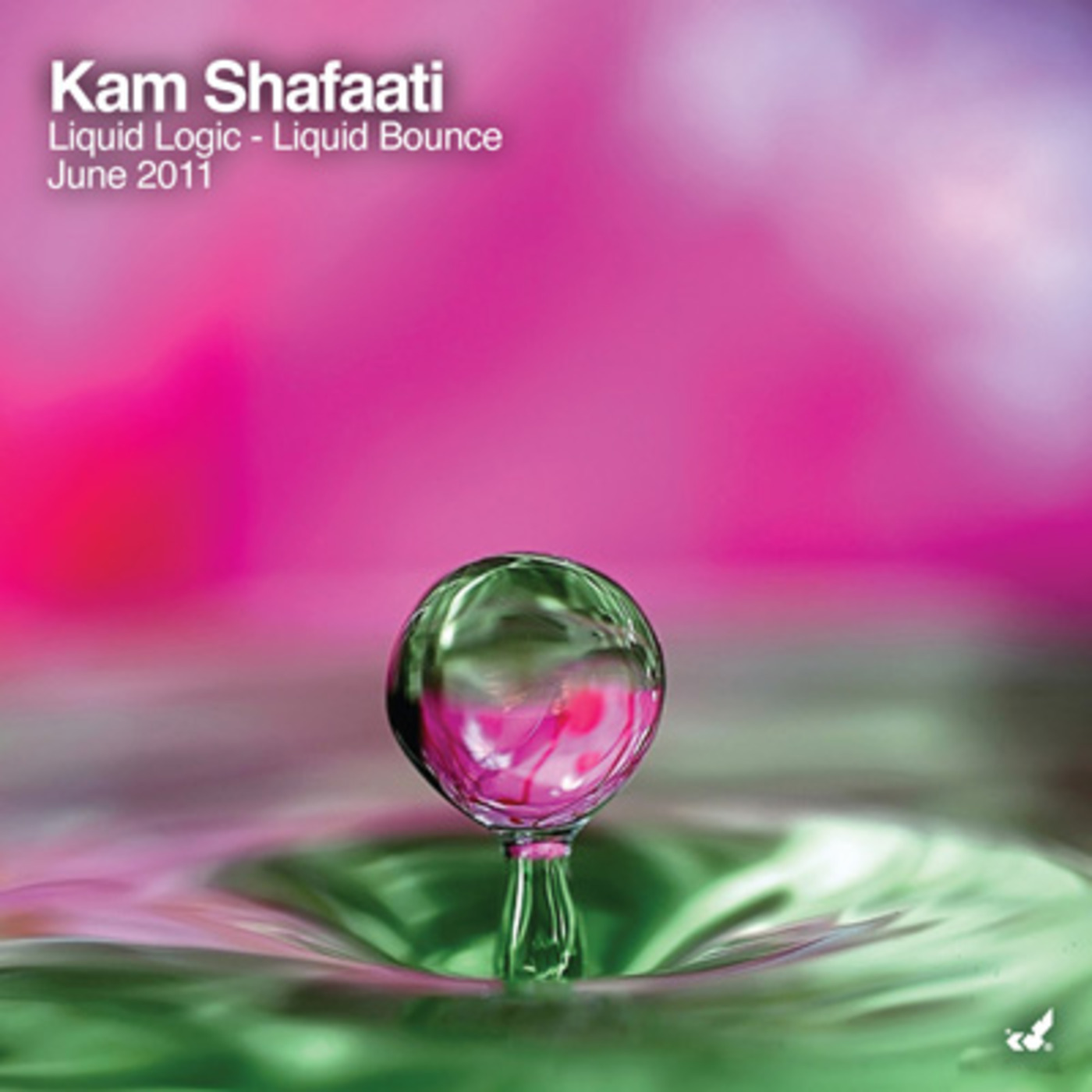 DJ Kam Shafaati presents Liquid Adventures