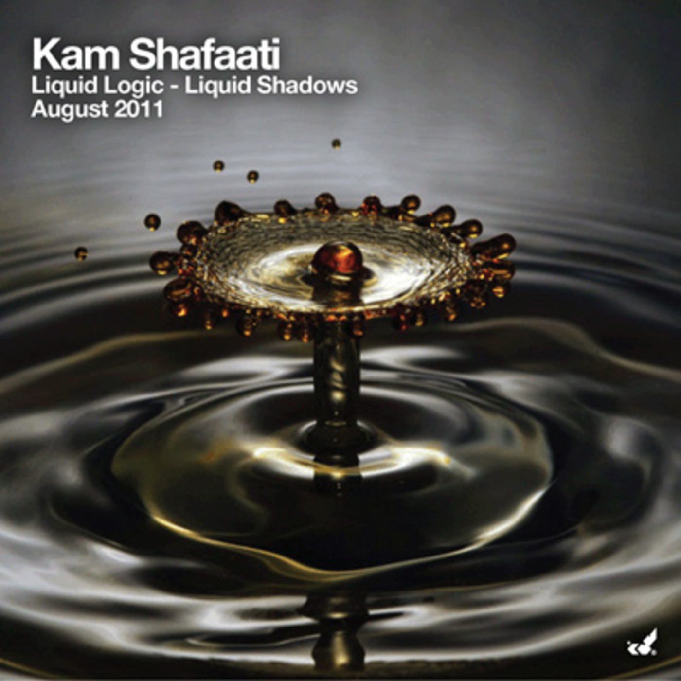 DJ Kam Shafaati presents Liquid Adventures