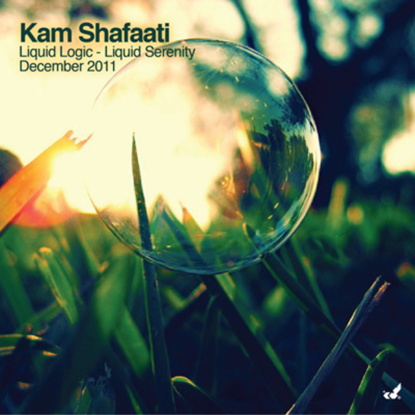 DJ Kam Shafaati presents Liquid Adventures