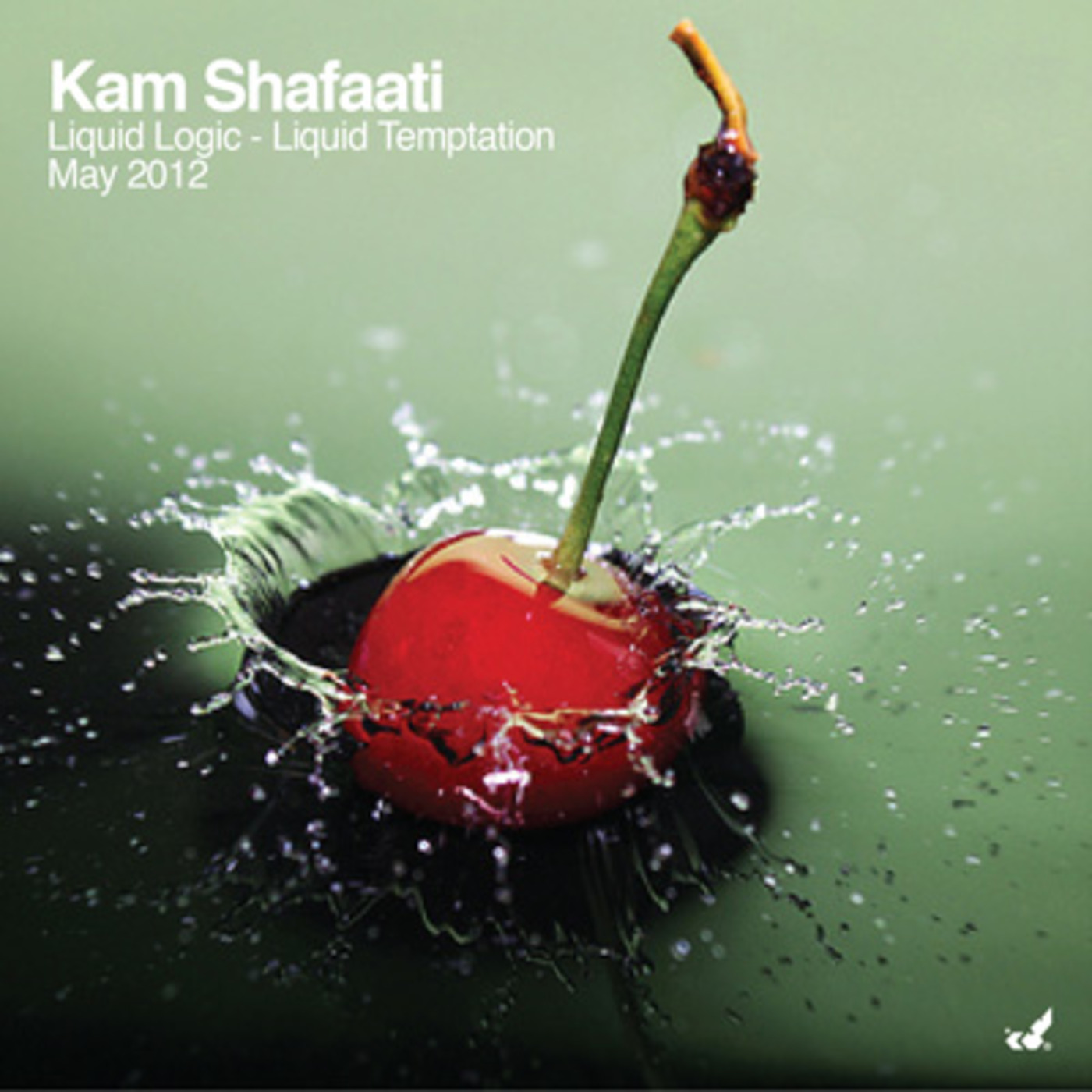 DJ Kam Shafaati presents Liquid Adventures