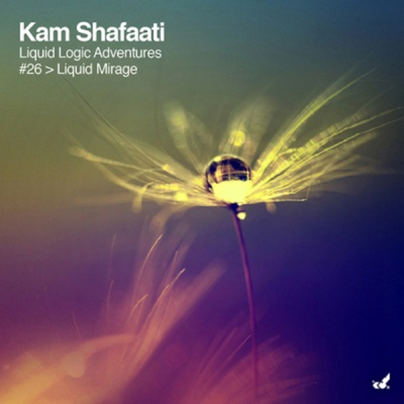 DJ Kam Shafaati presents Liquid Adventures