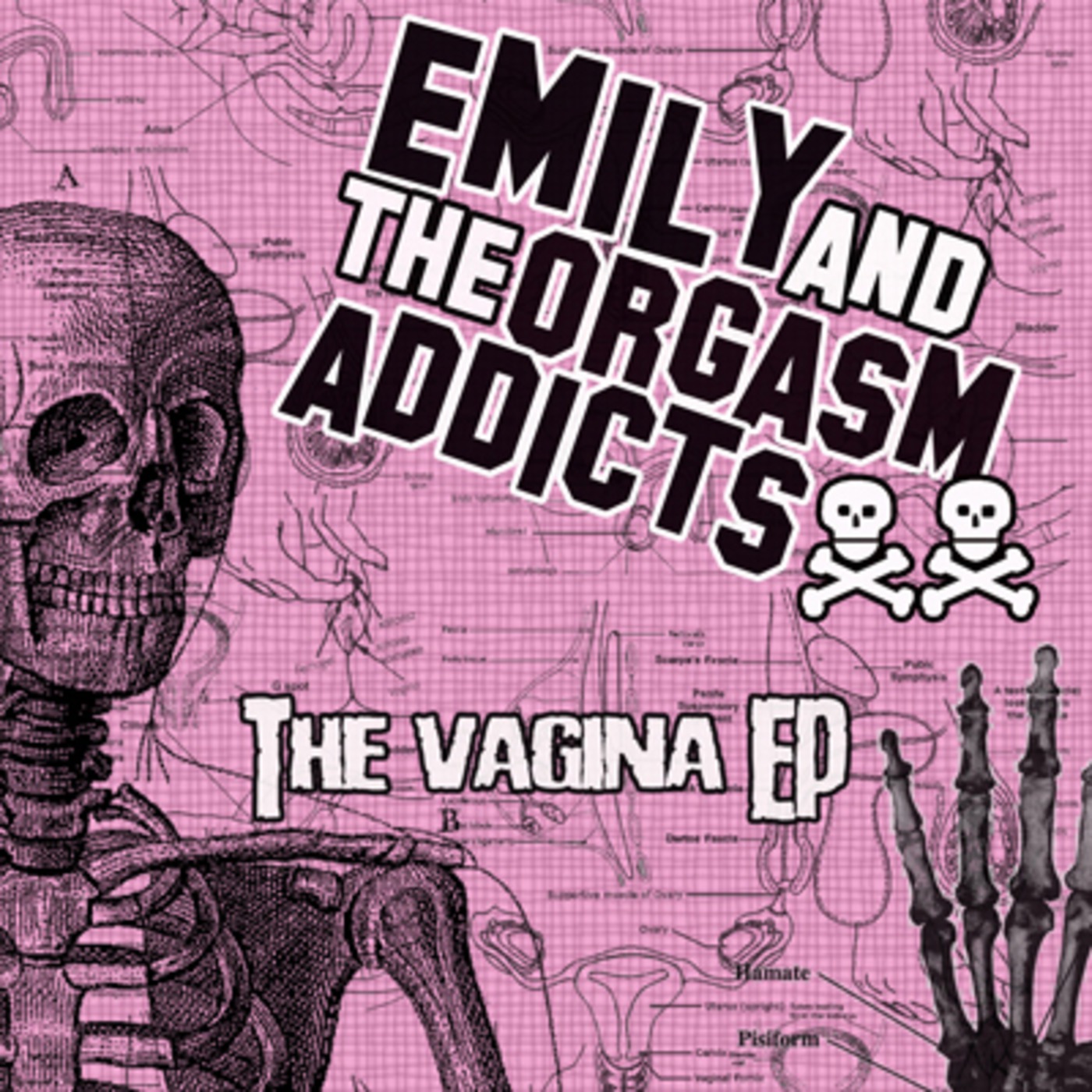 Emily y los adictos al Orgasmo episode artwork