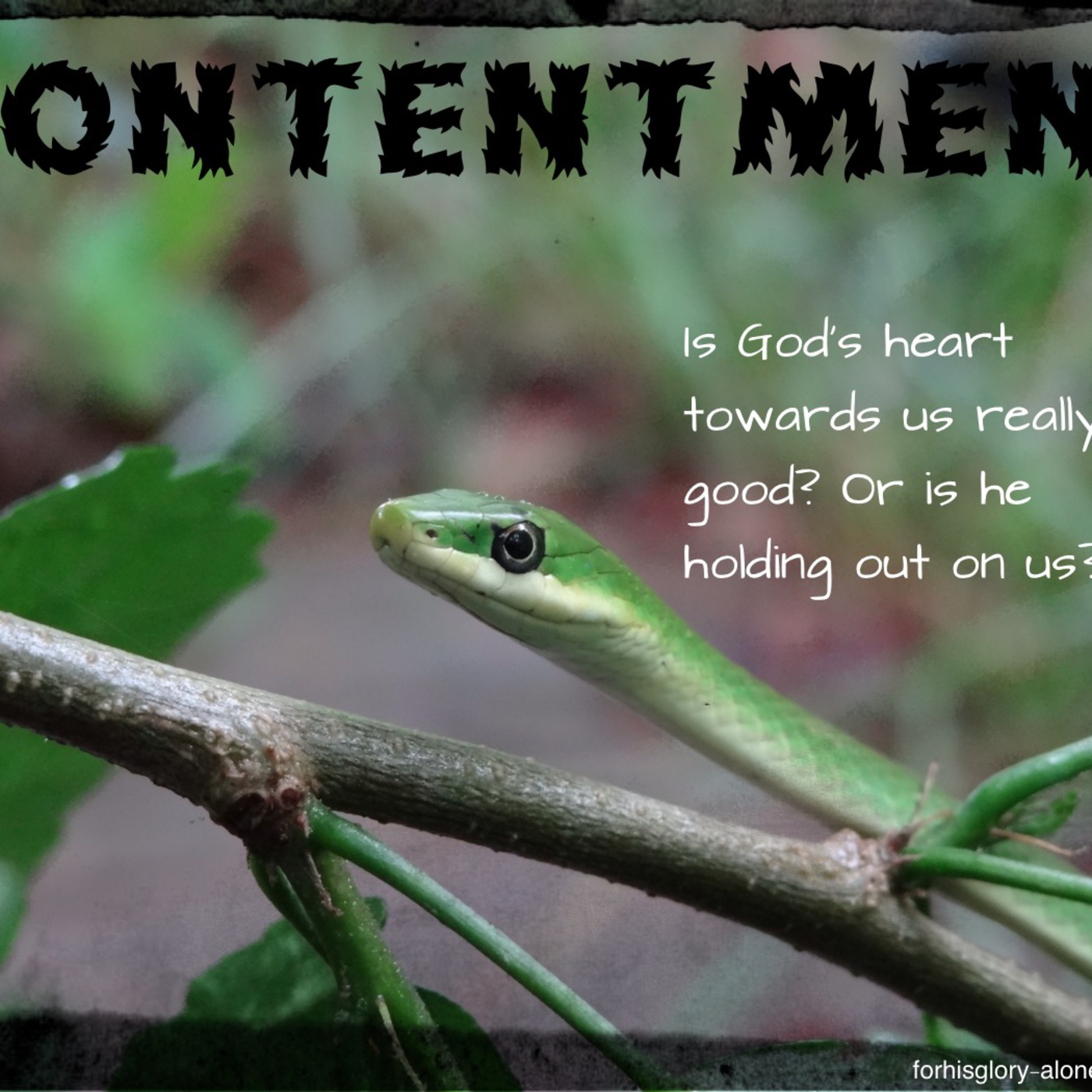 Contentment episode artwork
