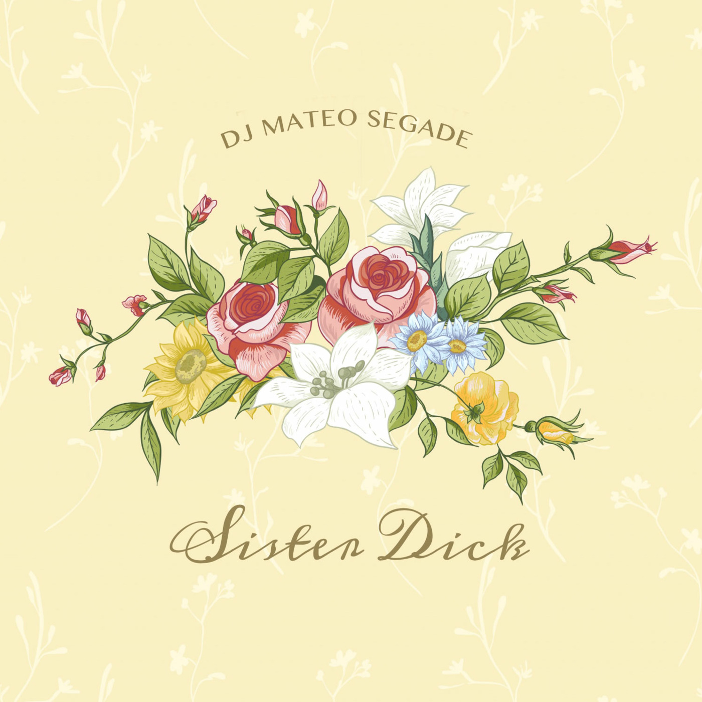 Club Mixes & Concept Albums • DJ Mateo Segade