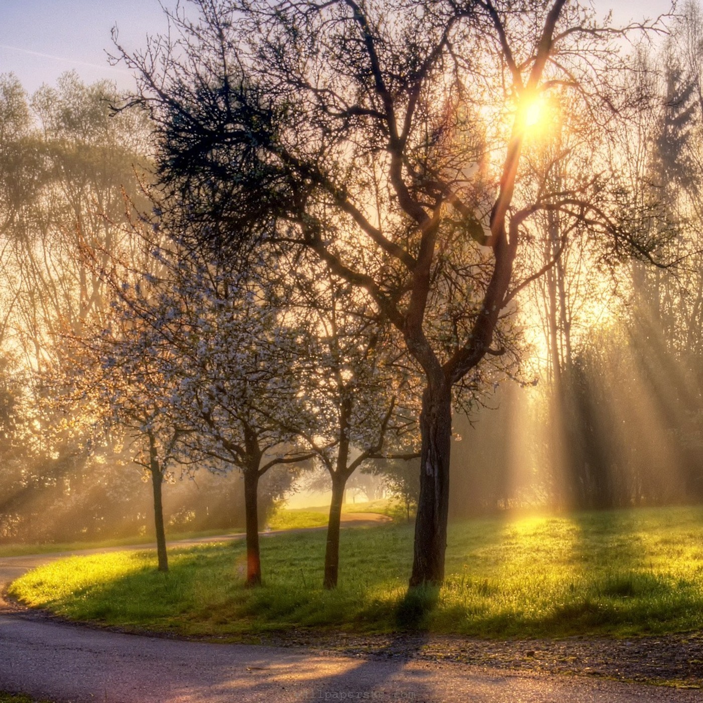 Things of the spirit
