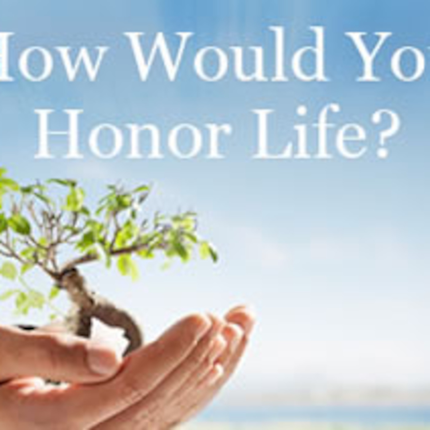 cremation Albany OR cremation Albany OR