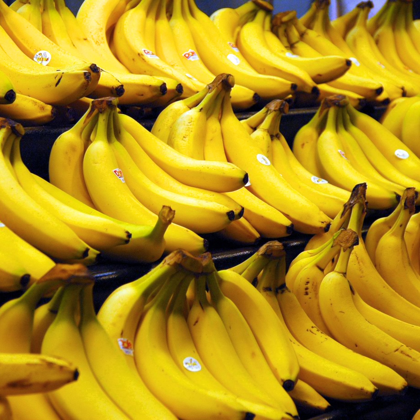 Banana Extinction!