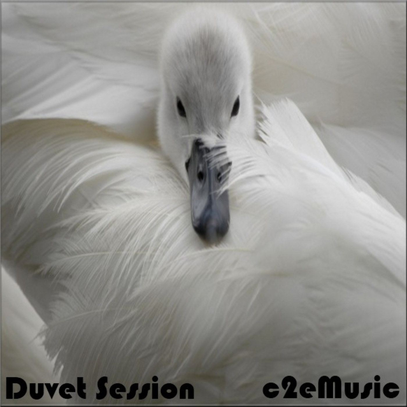 c2eMusic Radio Show – 02/05/13 – Duvet Session