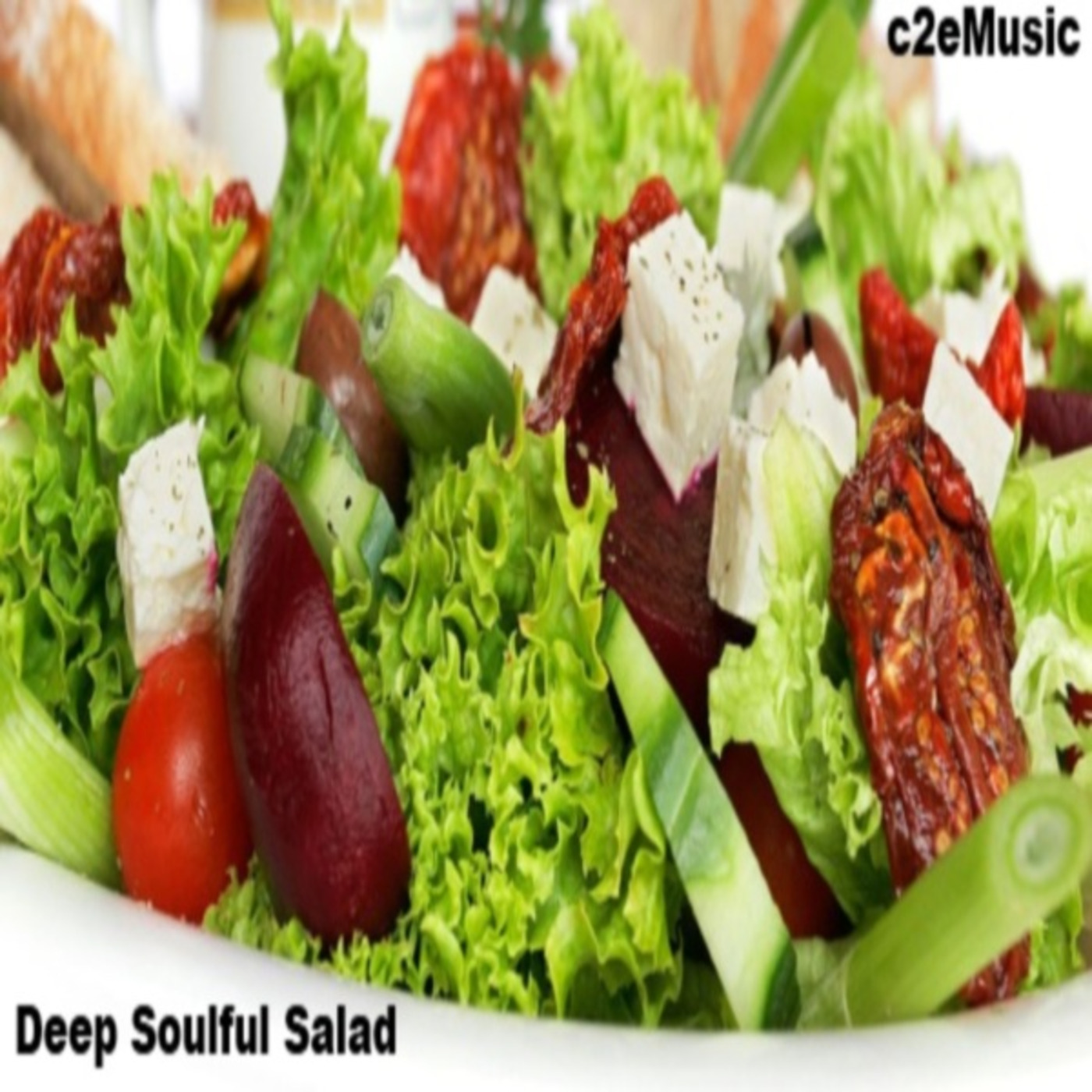 c2eMusic Soulful Deep House