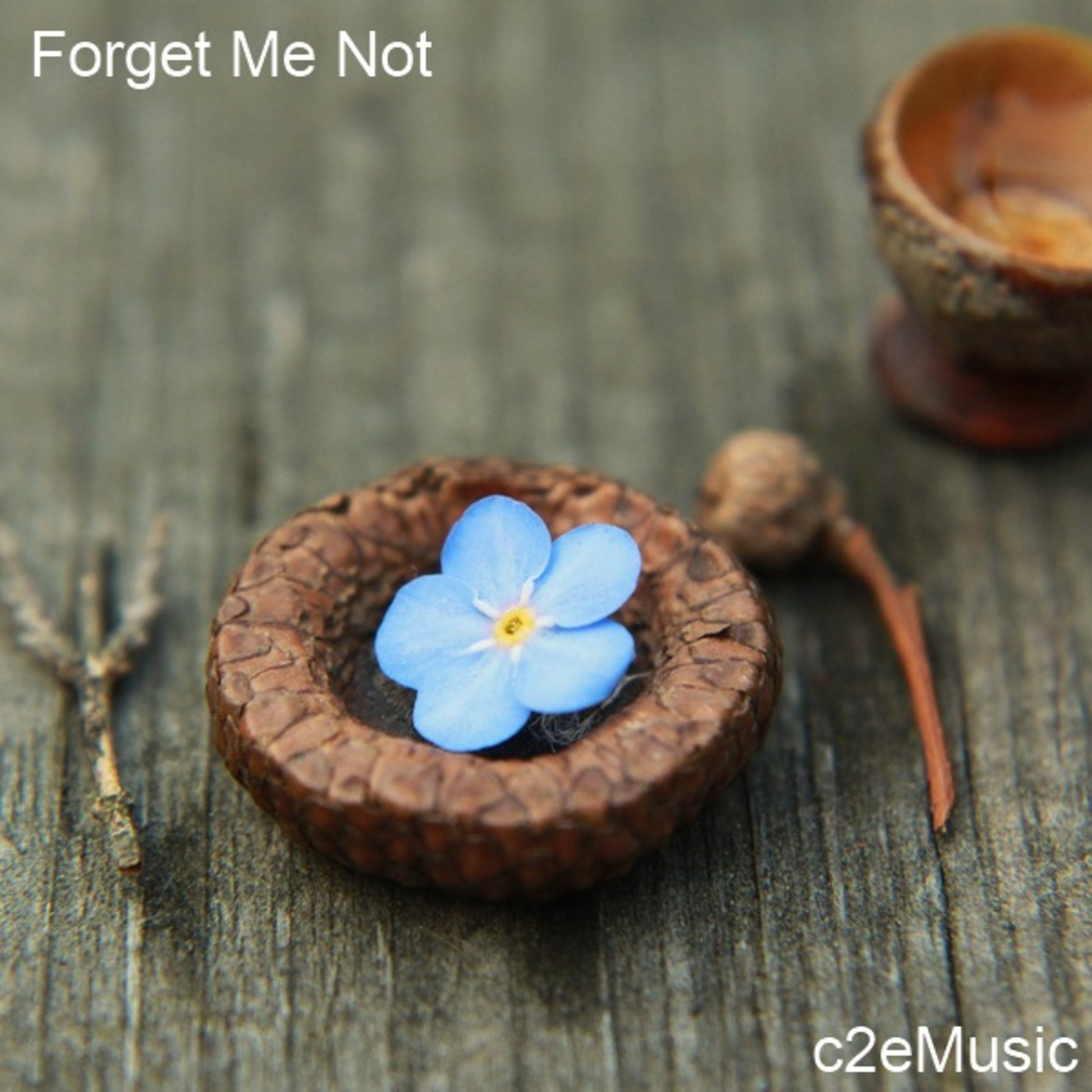 c2eMusic Radio Show - 27-06-13 - Forget me Not