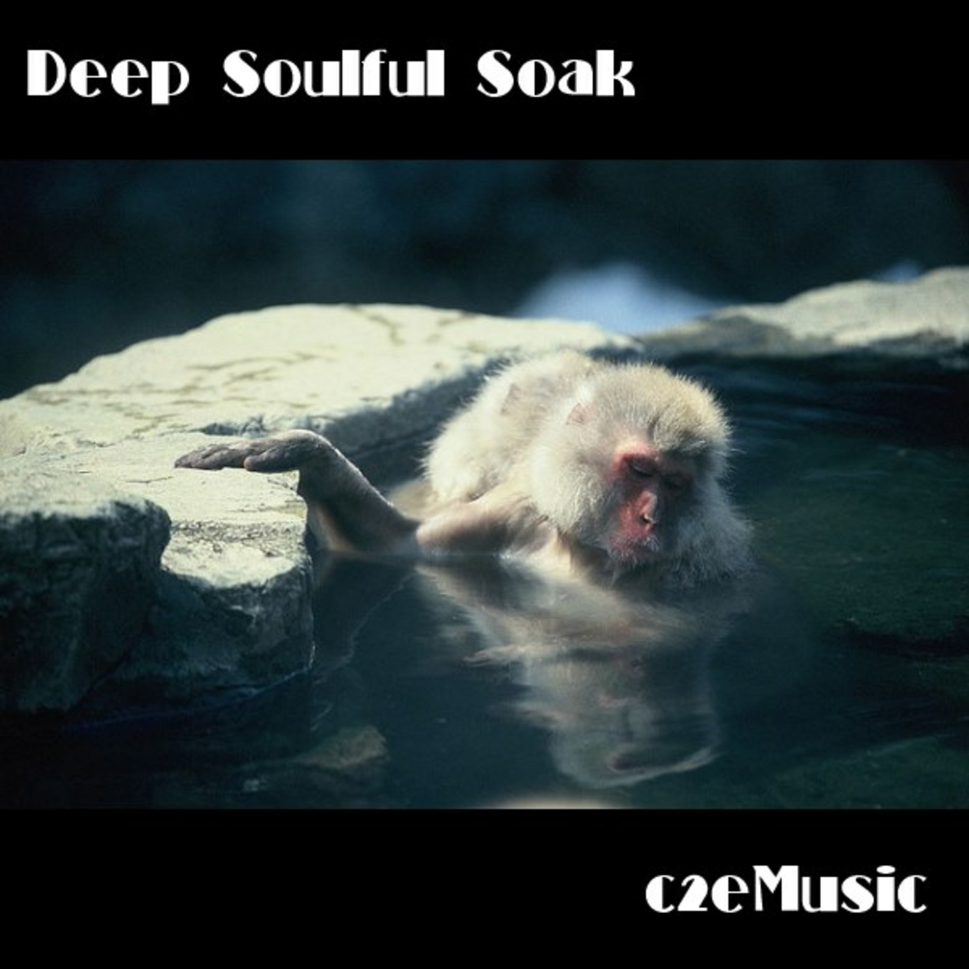 c2eMusic Soulful Deep House