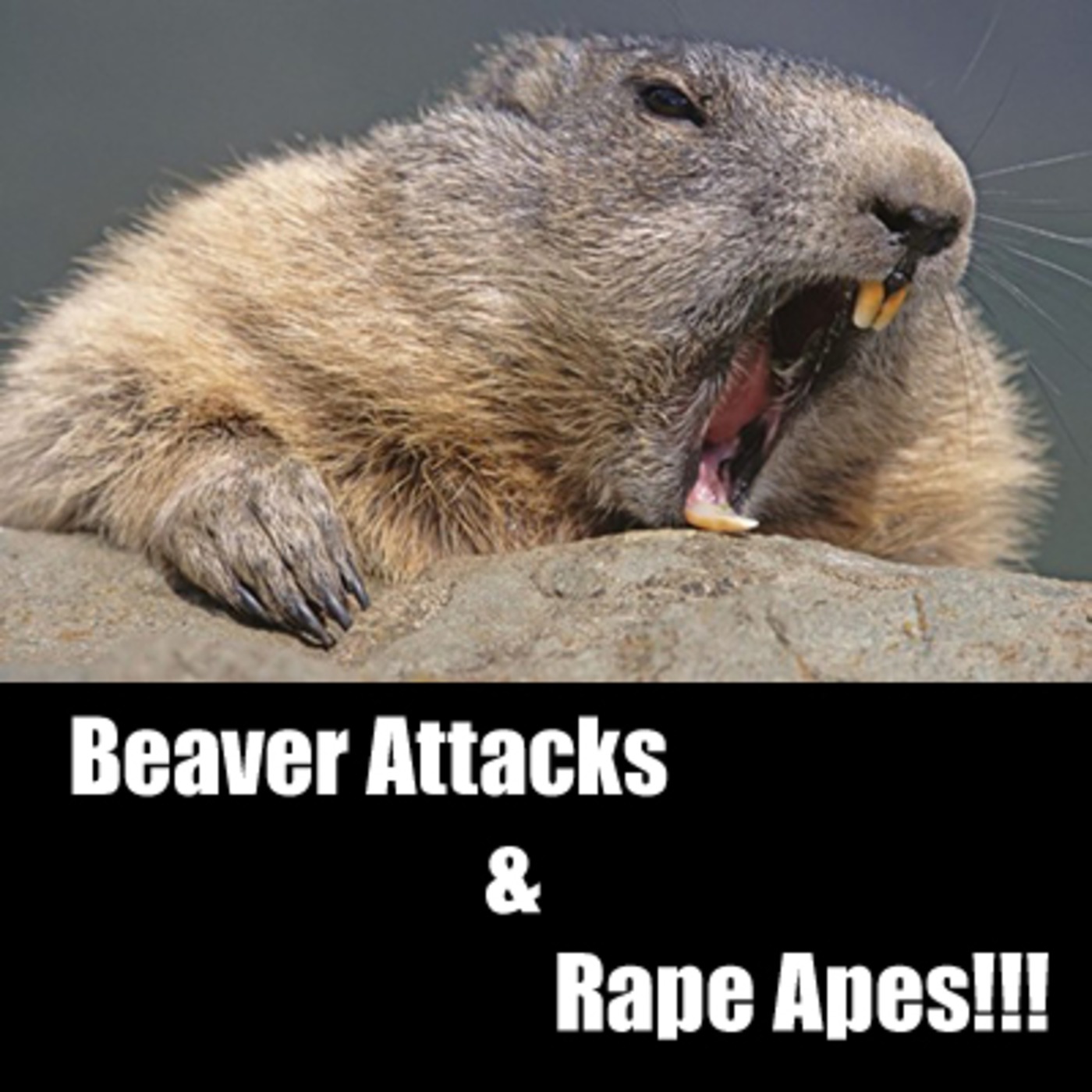 Episode 11 - Beaver Attacks and Rape Apes!!! episode artwork