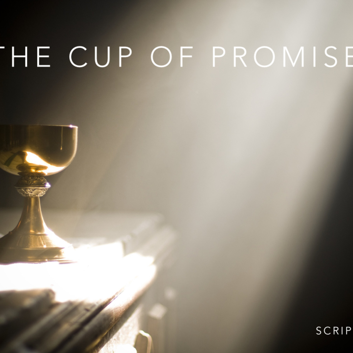 The Cup of Promise