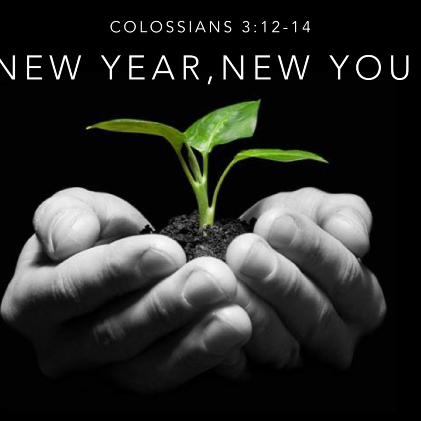 New Year, New You