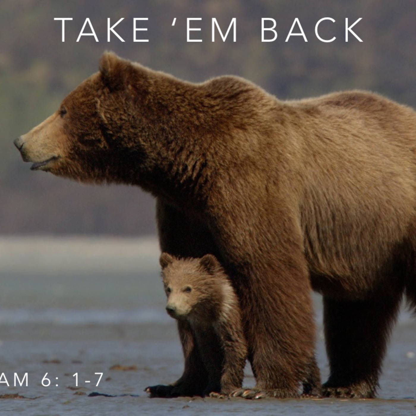 Take Them Back