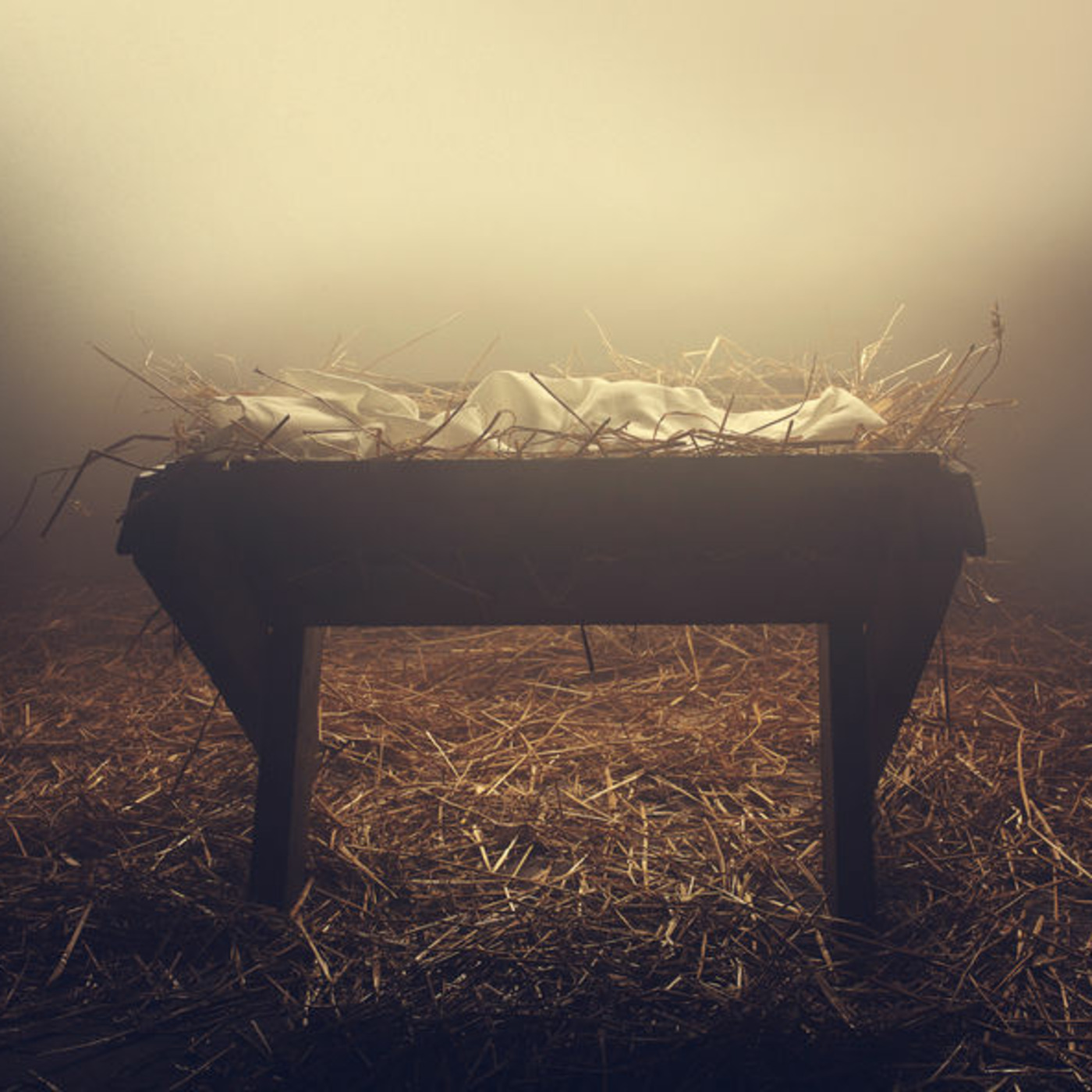 A Thrill of Hope: Hope Foretold